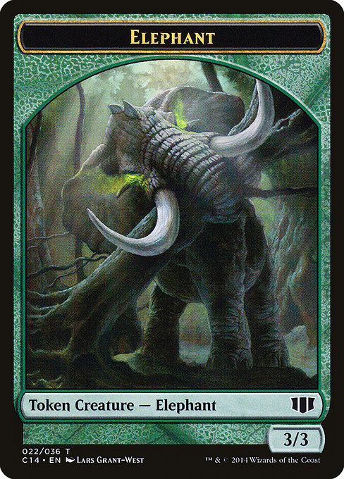 Elephant 22