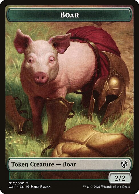 Boar 12