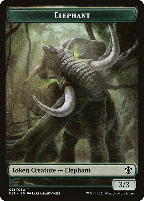 Elephant 13