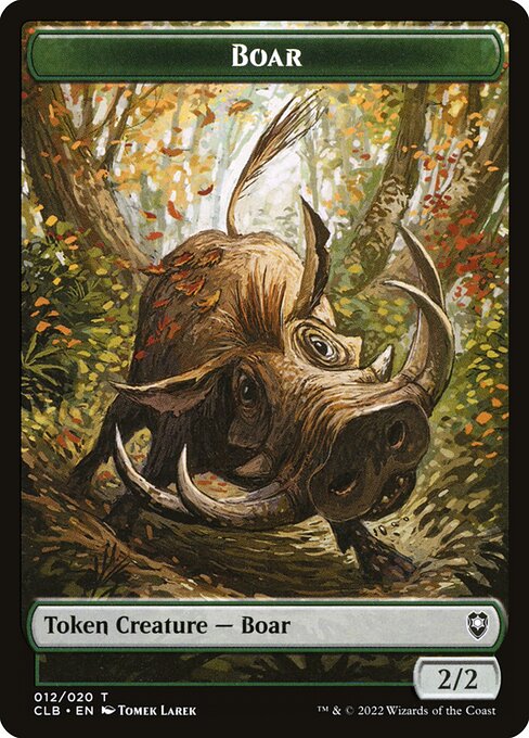 Boar 12