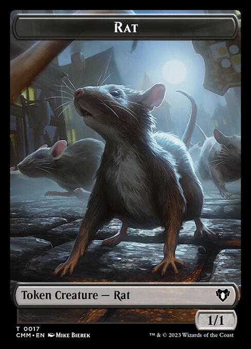 Rat 17