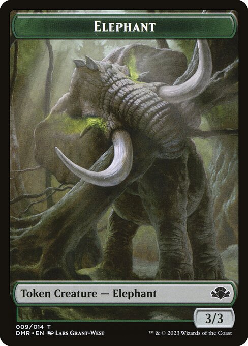 Elephant 9