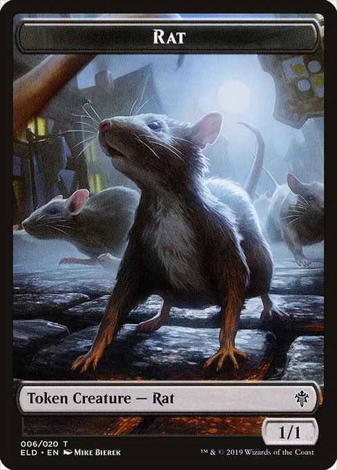 Rat 6