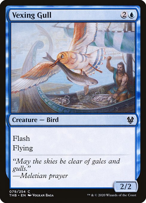 Vexing Gull 79