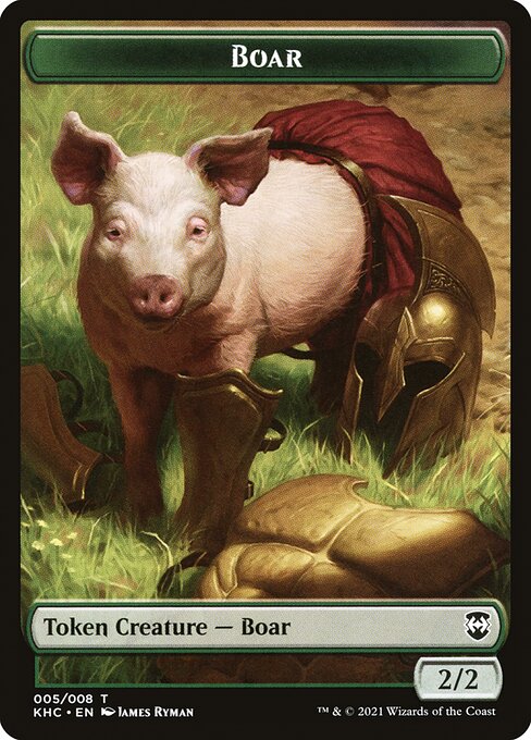 Boar 5