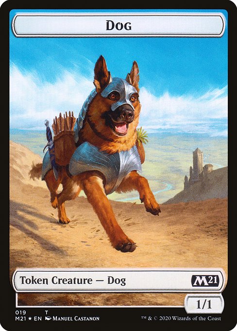 Dog 19