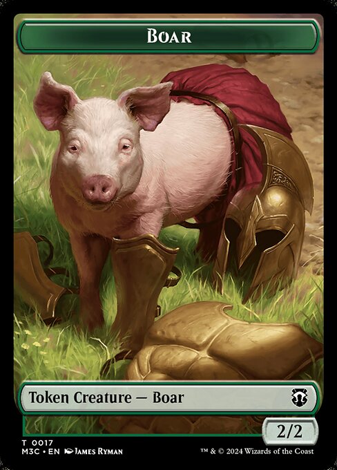 Boar 17
