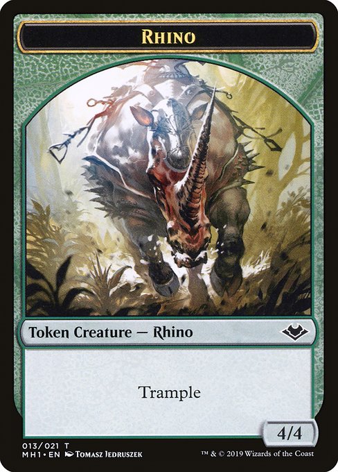 Rhino 13