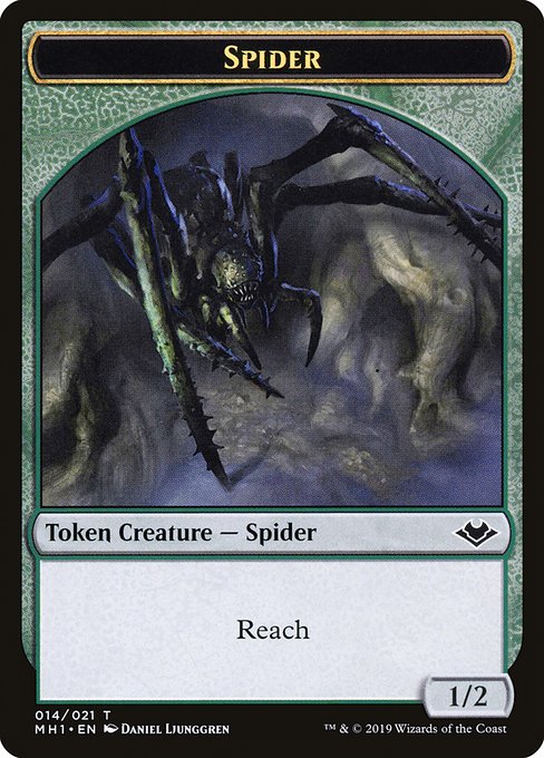 Spider 14