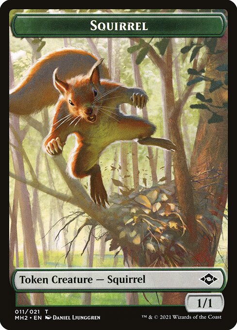 Squirrel 11
