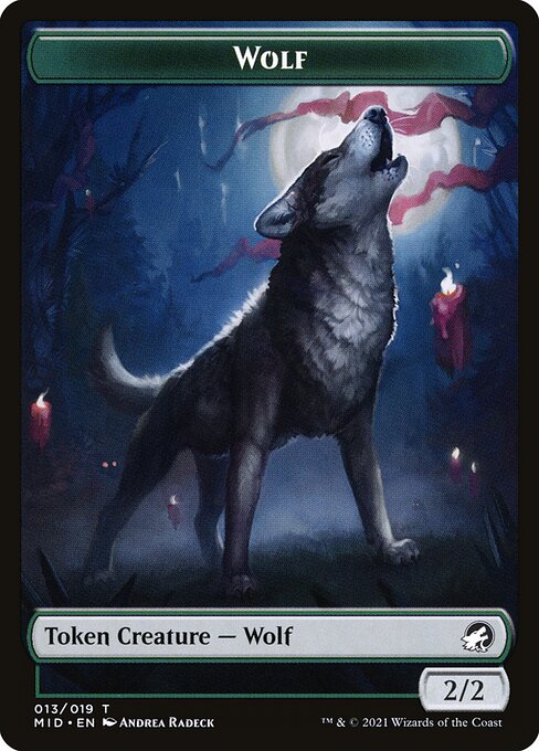 Wolf 13