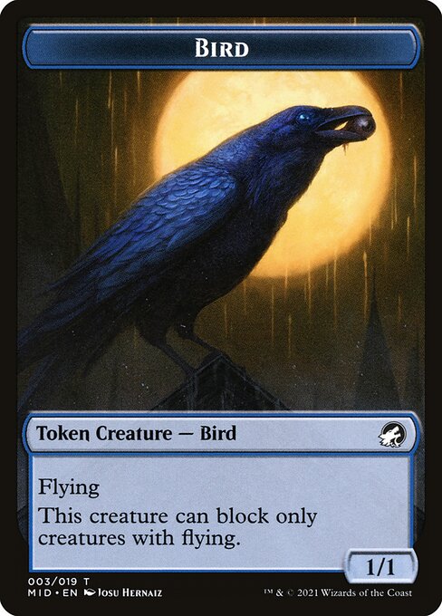 Bird 3