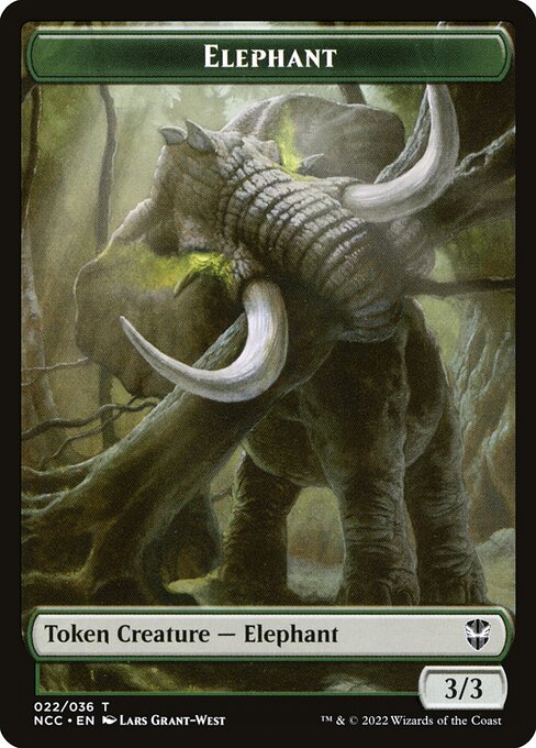 Elephant 22