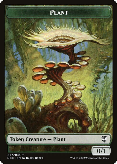 Plant 27