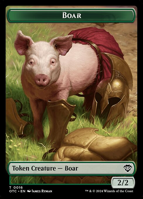Boar 16