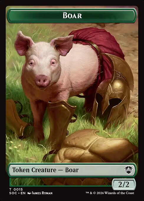 Boar 15