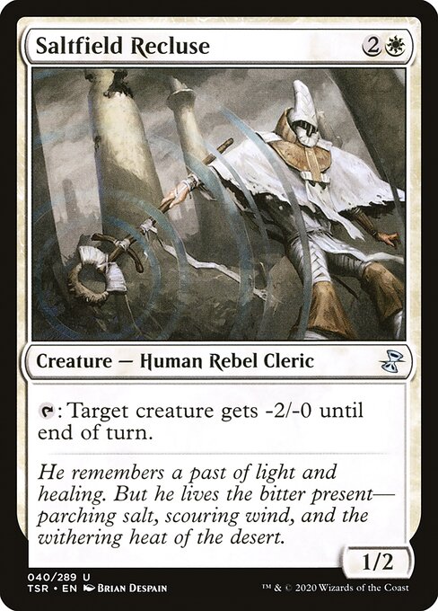 Saltfield Recluse 40