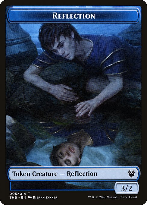 Reflection 5