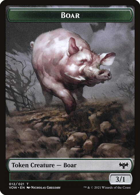 Boar 12