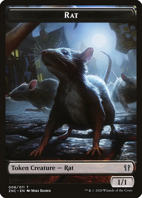 Rat 6