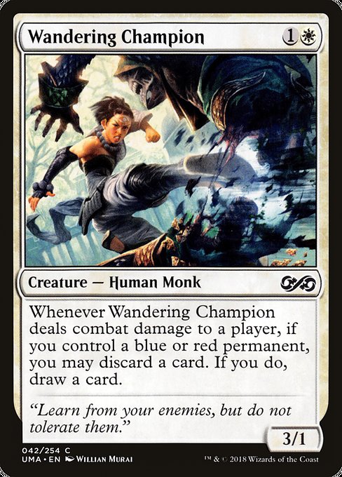 Wandering Champion 42