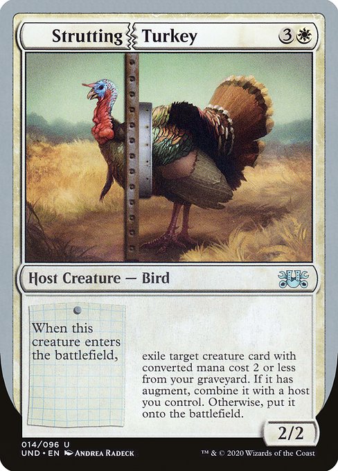 Strutting Turkey 14