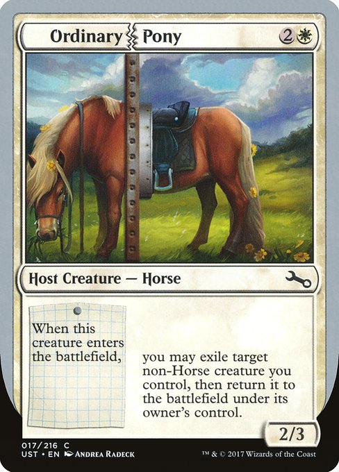 Ordinary Pony 17