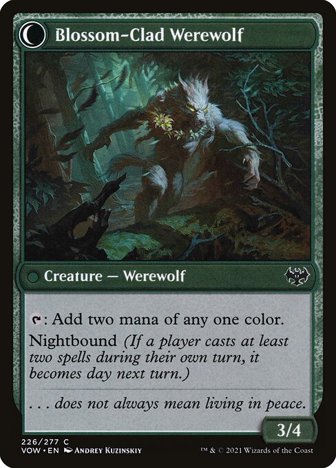Weaver of Blossoms // Blossom-Clad Werewolf 226, back face