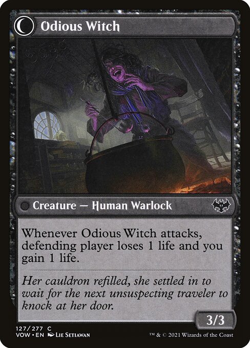 Ragged Recluse // Odious Witch 127, back face