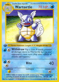 Wartortle 42