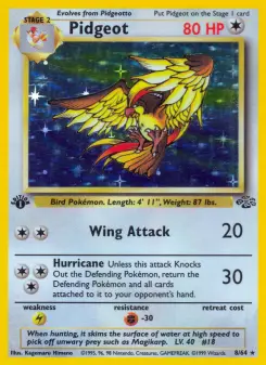 Pidgeot 8