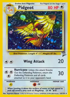 Pidgeot 14