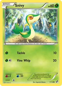Snivy 1