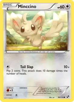 Minccino 88