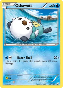 Oshawott 37