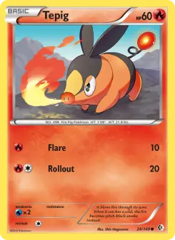 Tepig 24