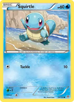 Squirtle 24