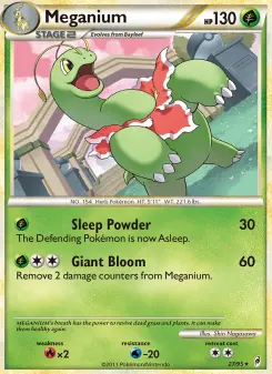 Meganium 27