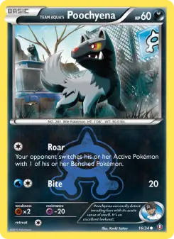 Team Aqua's Poochyena 16