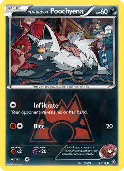 Team Magma's Poochyena 17