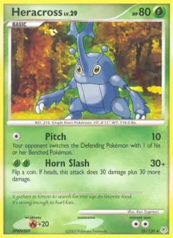 Heracross 28