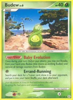 Budew 43