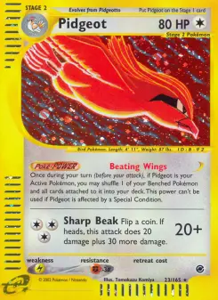 Pidgeot 23