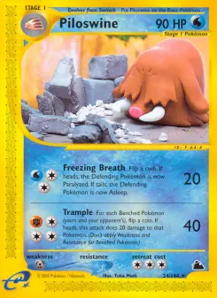 Piloswine 24