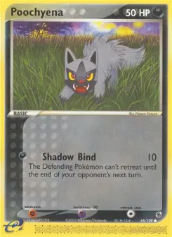 Poochyena 65