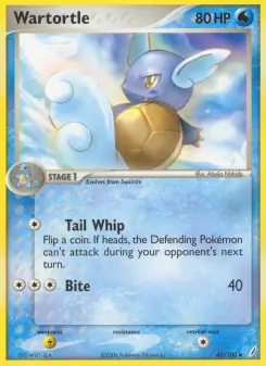 Wartortle 43