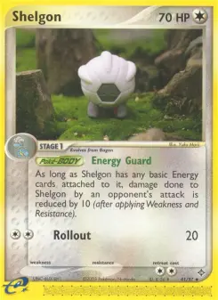 Shelgon 41