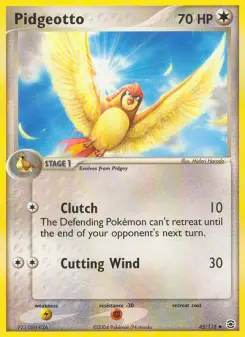 Pidgeotto 45
