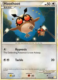 Hoothoot 66