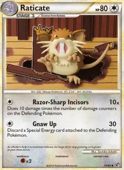 Raticate 34